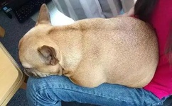 欧美成人一区二区三区在线视频